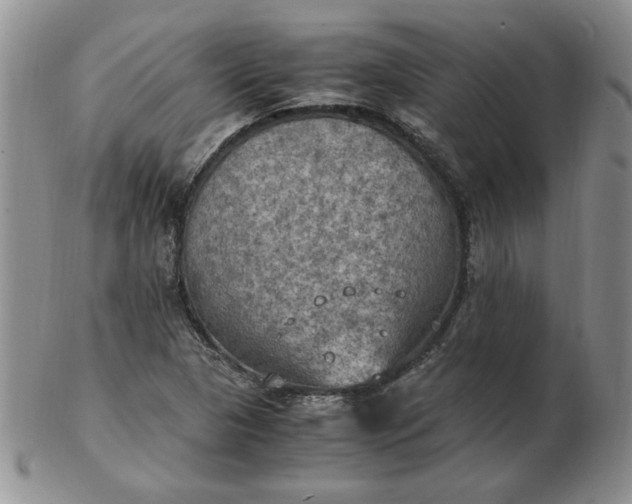 X0000103141313200809051605