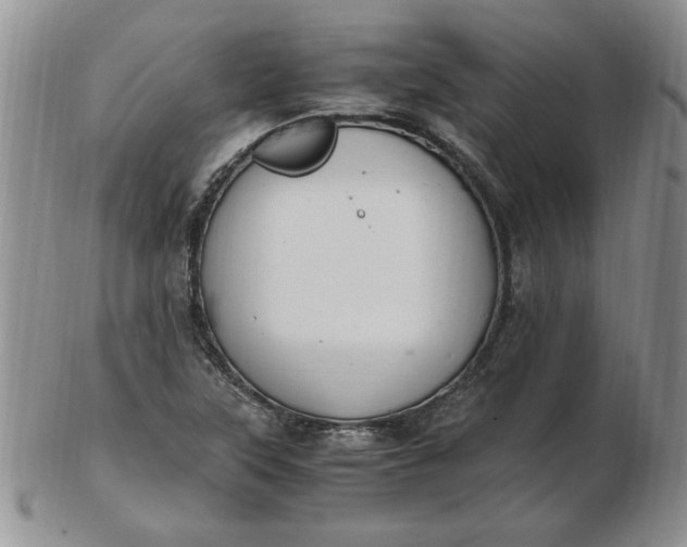 X0000103141315200809051605