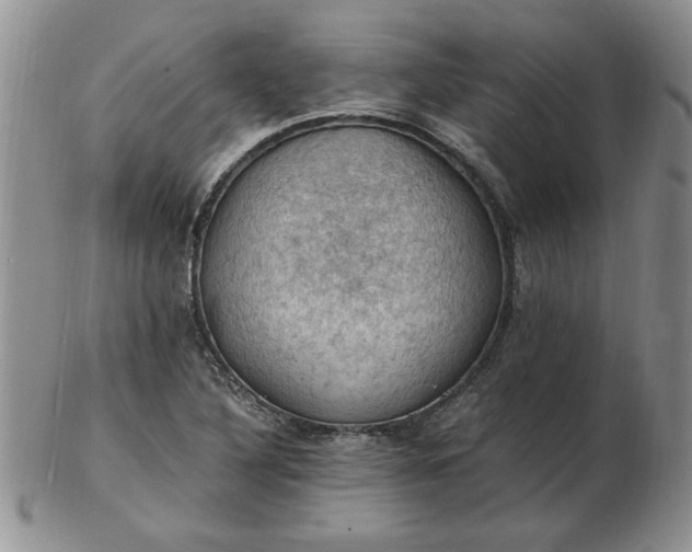 X0000103141316200809051605