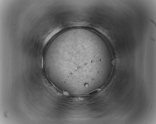 X0000103141317200809051605