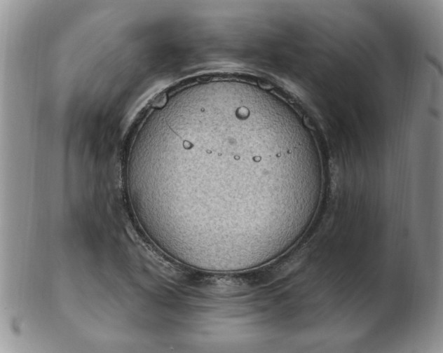 X0000103141318200809051605