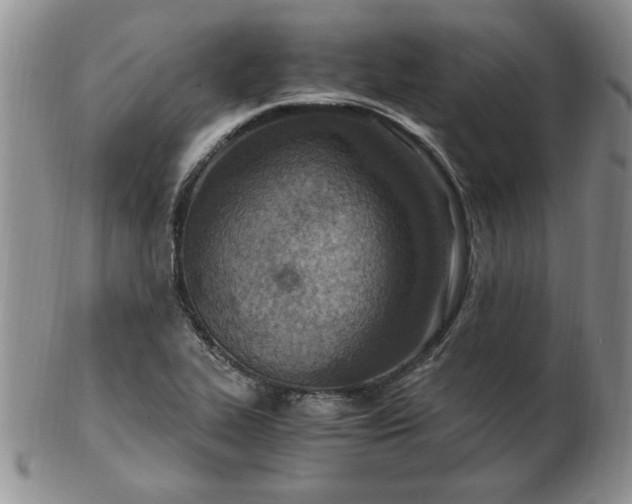 X0000103141319200809051605