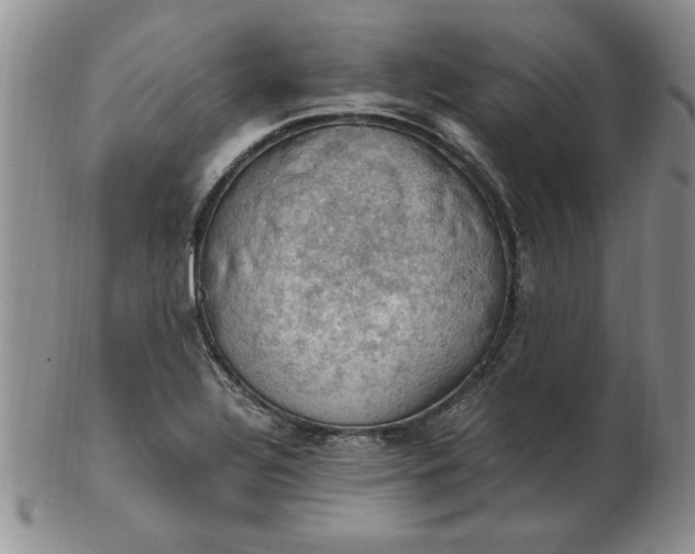 X0000103141320200809051605