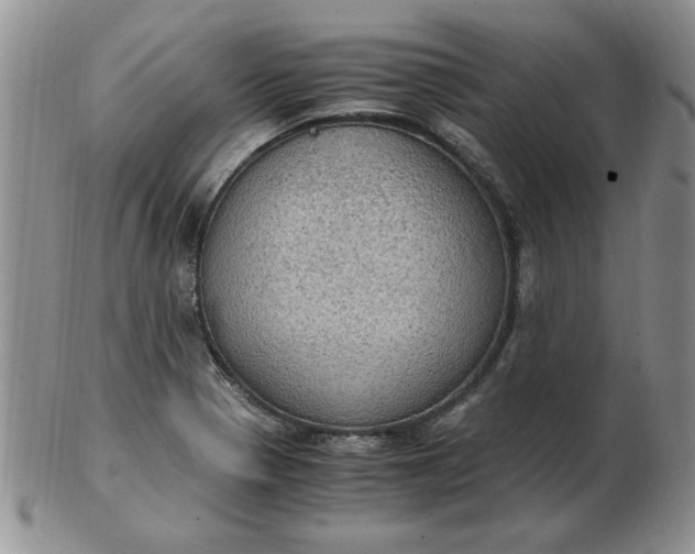 X0000103141321200809051605