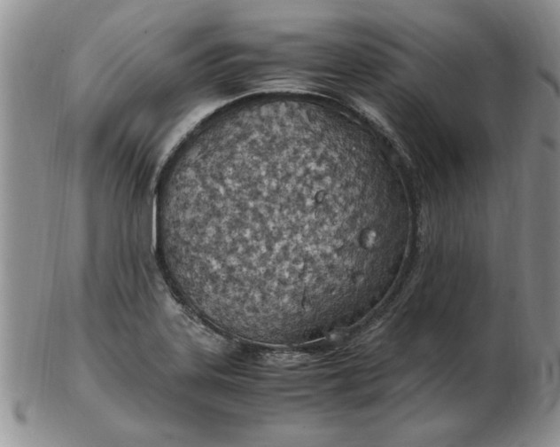 X0000103141323200809051605