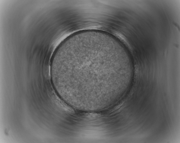 X0000103141324200809051605