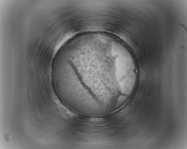 X0000103141325200809051605