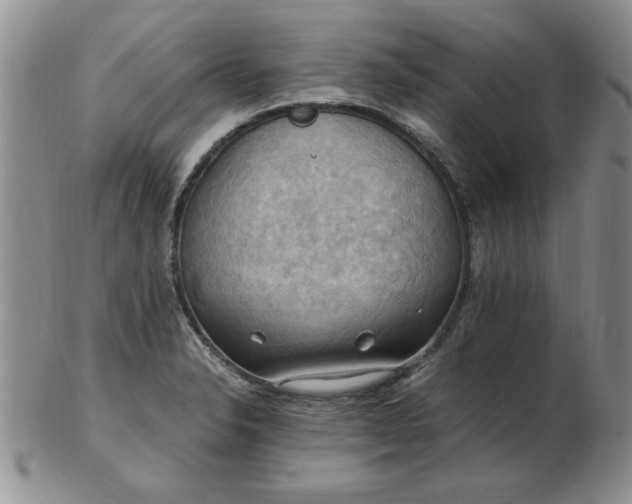 X0000103141326200809051605