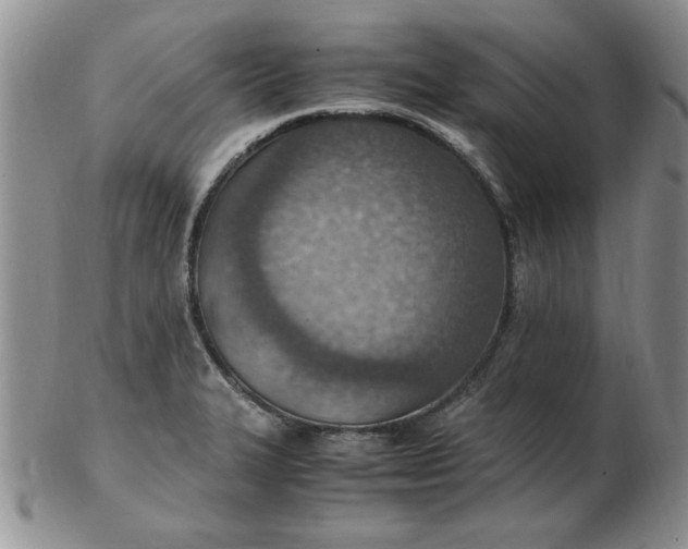 X0000103141327200809051605