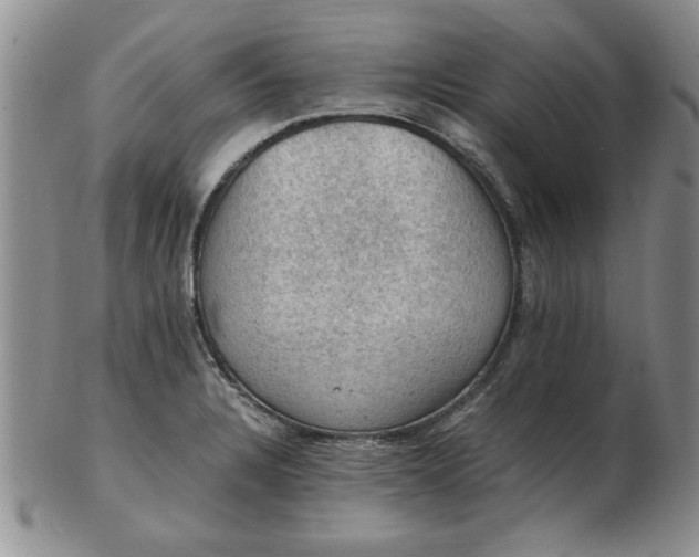 X0000103141328200809051605