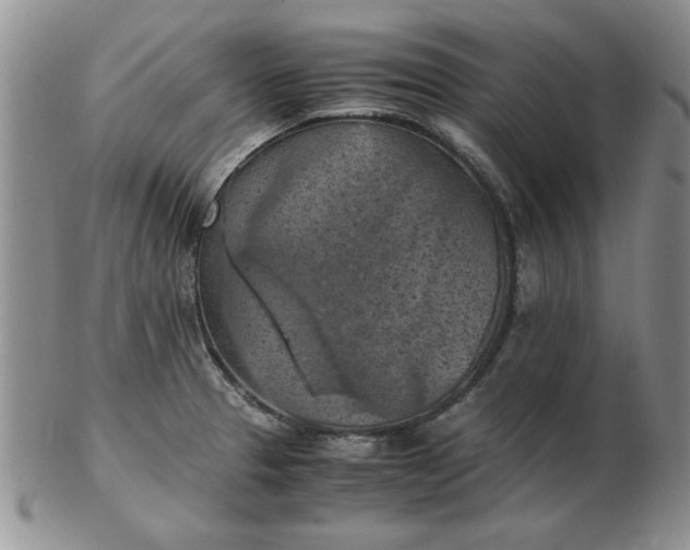 X0000103141329200809051605