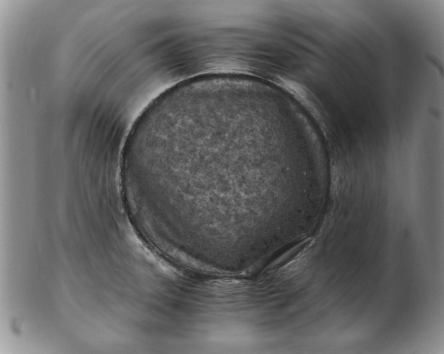 X0000103141331200809051605