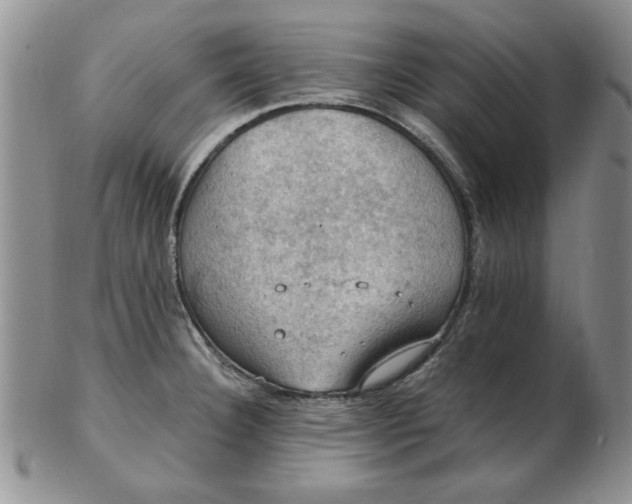 X0000103141332200809051605