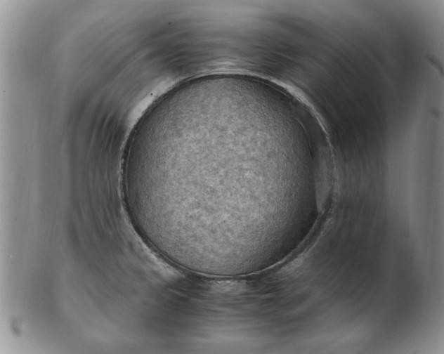 X0000103141333200809051605