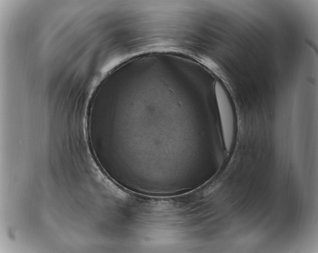 X0000103141334200809051605