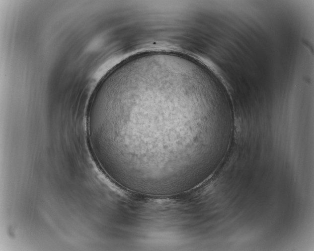 X0000103141335200809051605