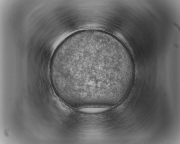 X0000103141336200809051605