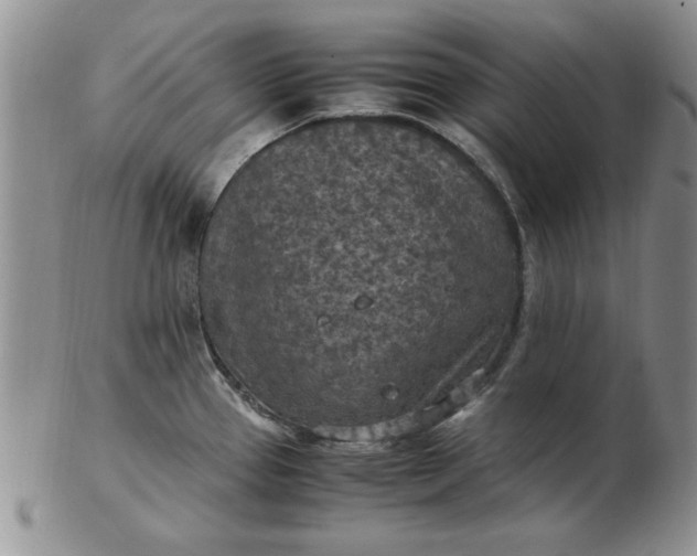 X0000103141337200809051605