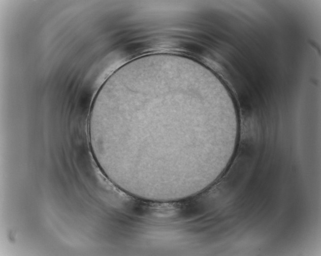 X0000103141338200809051605