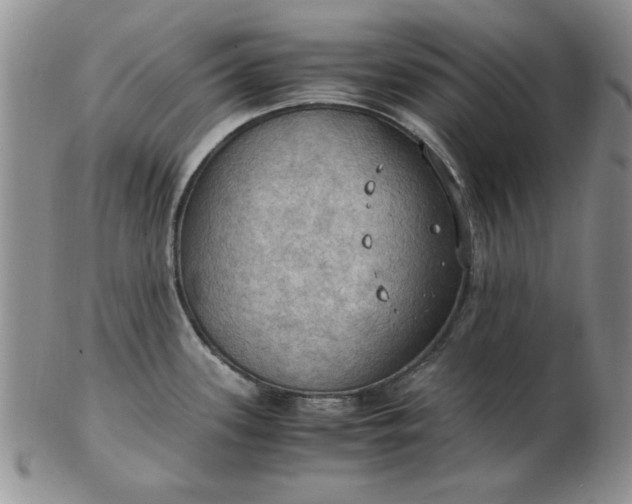 X0000103141339200809051605