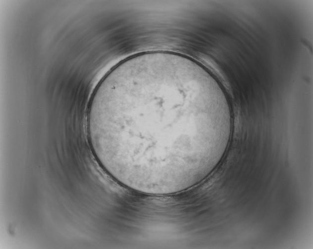 X0000103141340200809051605