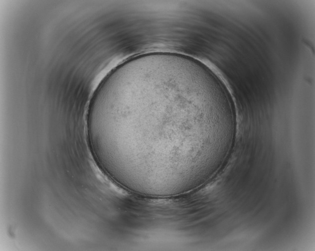 X0000103141341200809051605