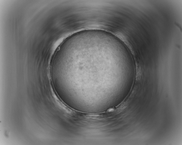 X0000103141342200809051605