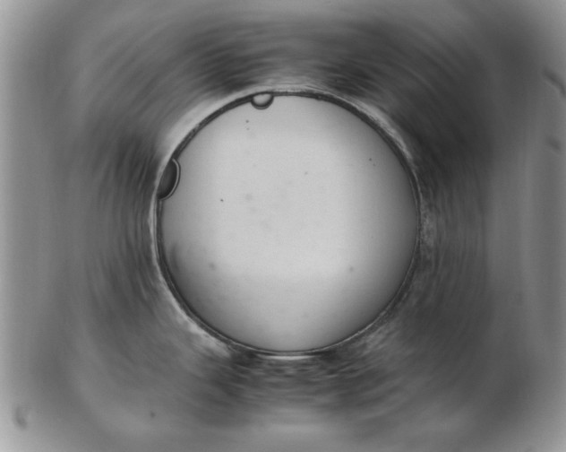 X0000103141343200809051605