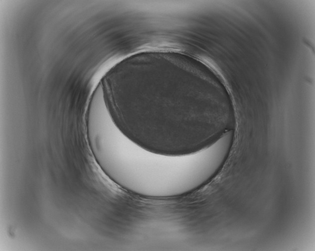 X0000103141344200809051605