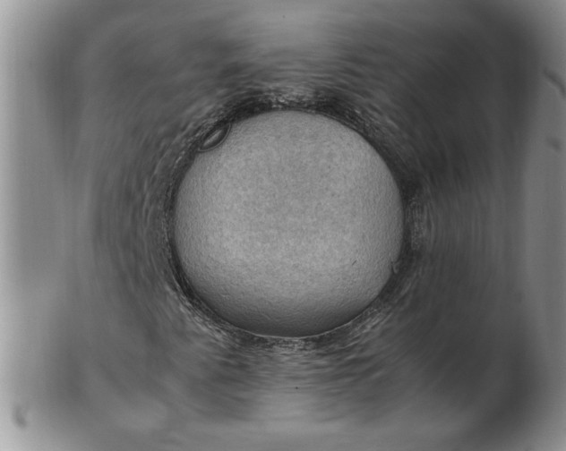 X0000103141345200809051605