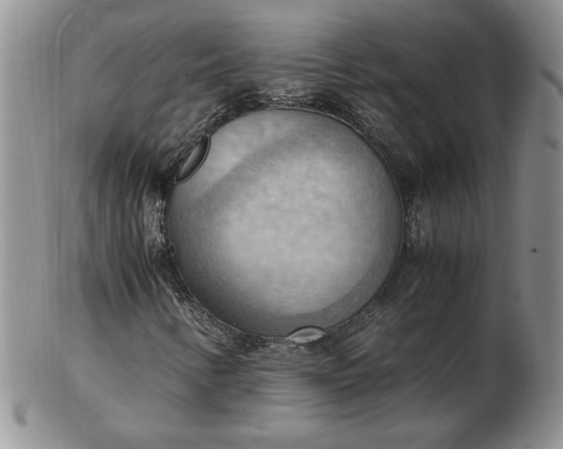 X0000103141346200809051605