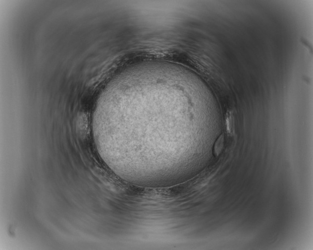 X0000103141347200809051605