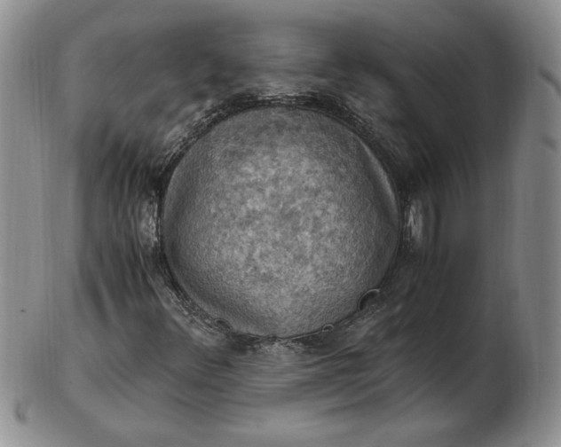 X0000103141348200809051605