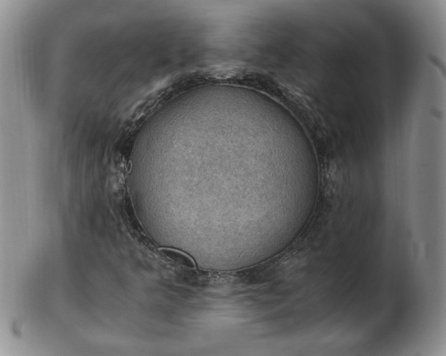 X0000103141349200809051605