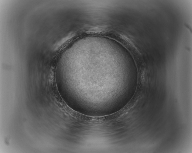 X0000103141350200809051605