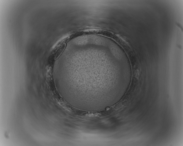 X0000103141351200809051605