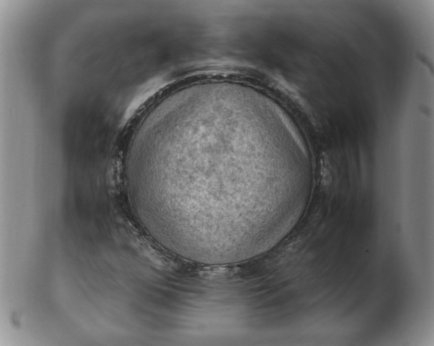 X0000103141352200809051605