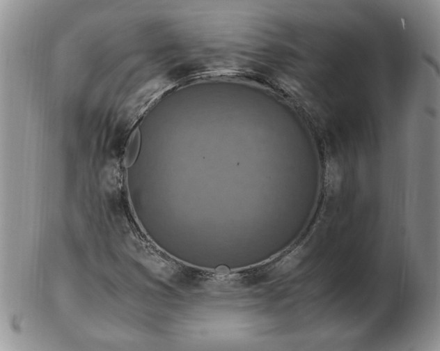 X0000103141353200809051605