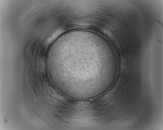 X0000103141354200809051605