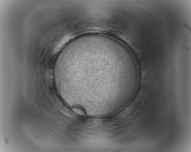 X0000103141355200809051605