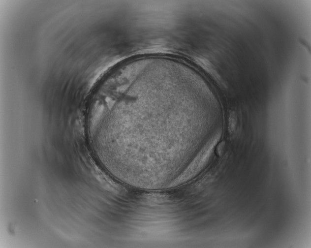 X0000103141356200809051605