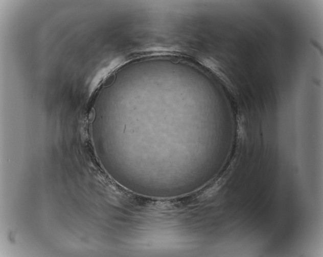 X0000103141357200809051604