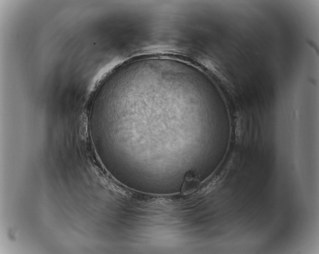 X0000103141358200809051604