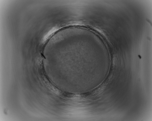 X0000103141359200809051604