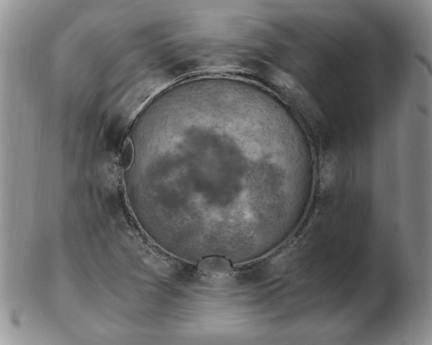 X0000103141361200809051604