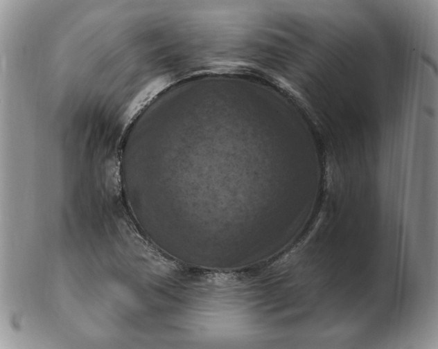 X0000103141362200809051604