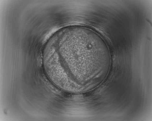 X0000103141363200809051604