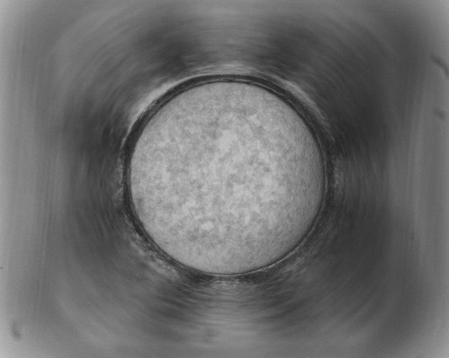 X0000103141364200809051604