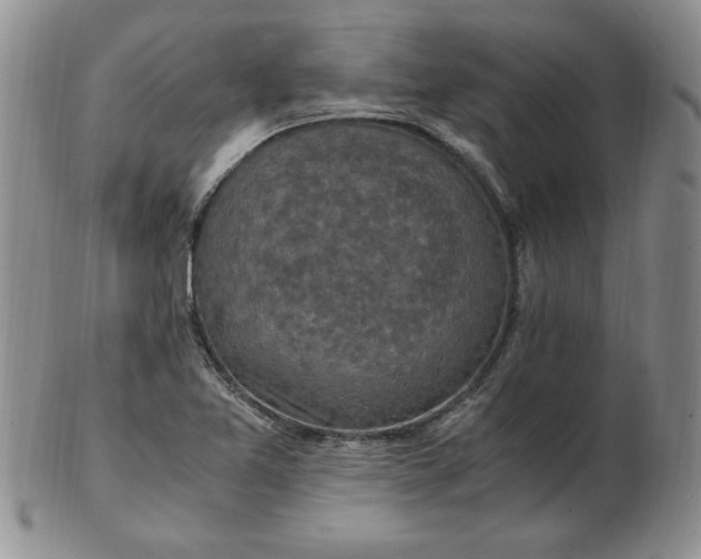 X0000103141365200809051604