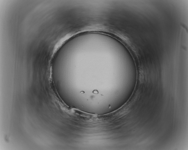 X0000103141366200809051604